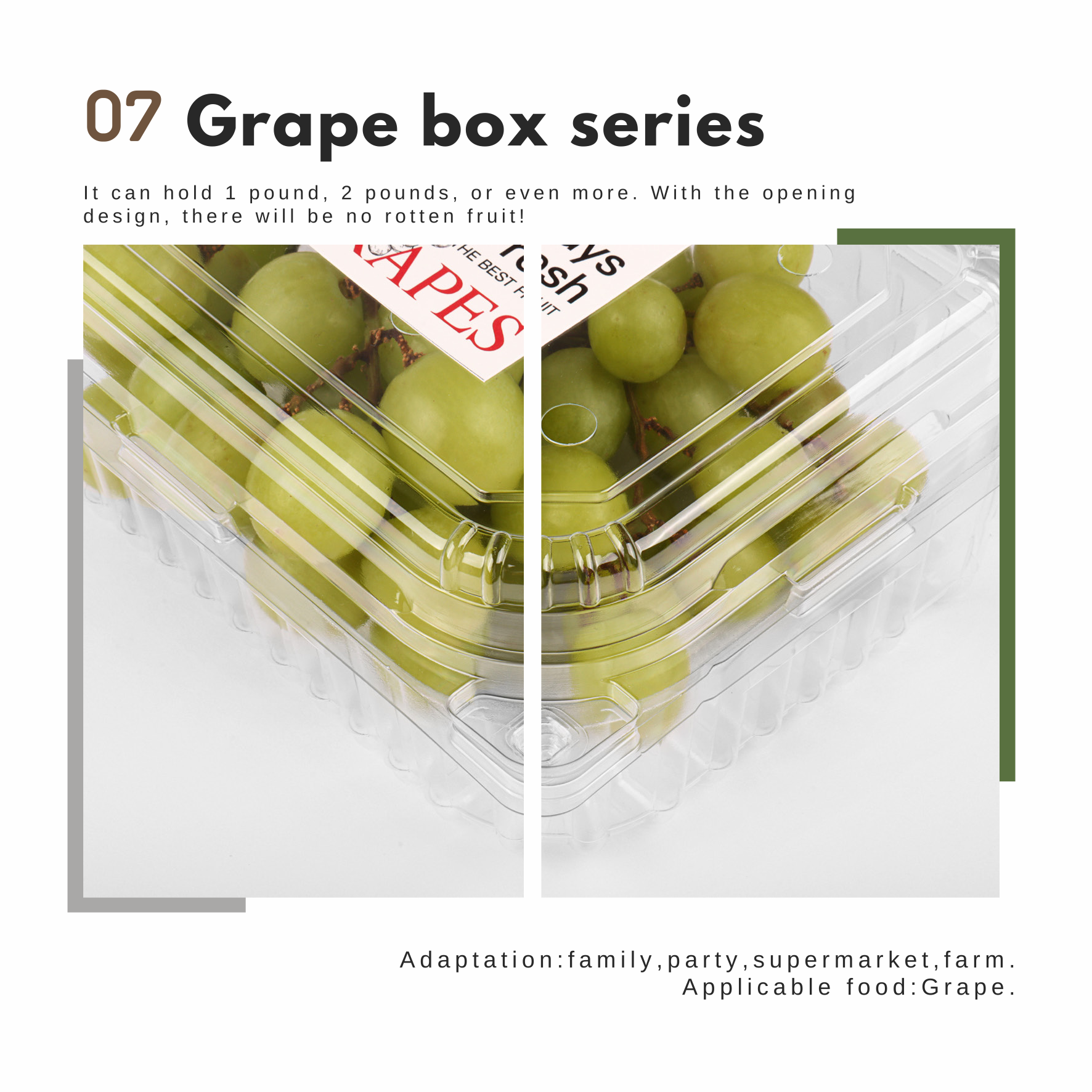 Grape Box Series